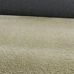 Epäsymmetrinen Aaltokuvioinen Ryijymatto - Aranga Super Soft Fur (vaaleanvihreä)
