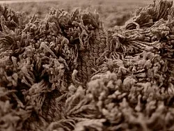 Ryijymatot - Kendra Natural Cotton Shaggy (ruskea)
