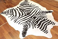 Zebra 14