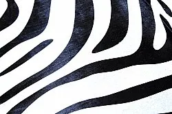 Zebra 14