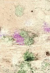 Wilton-matto - Dimos (beige/multi)