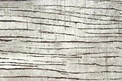 Wilton-matto - Uzla (harmaa)