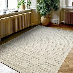 Shaggy Indoor/Outdoor - Oneida (kerma)