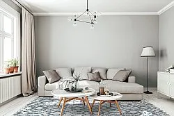 Shaggy Indoor-Outdoor - Trenton (valkoinen/sininen)