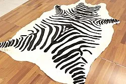 Zebra 11