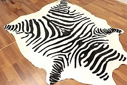 Zebra 11
