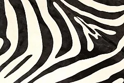 Zebra 11