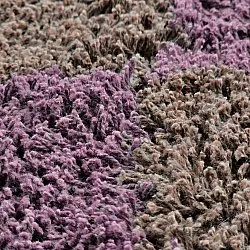 Pyöreä matot - Elsey Natural Cotton Shaggy (ruskea/violetti)