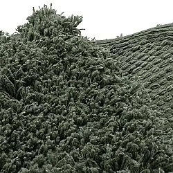 Pyöreät matot - Combarro Solid Cotton Shaggy (vihreä)
