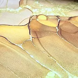 Wilton-matto - Etienne (beige/kulta)