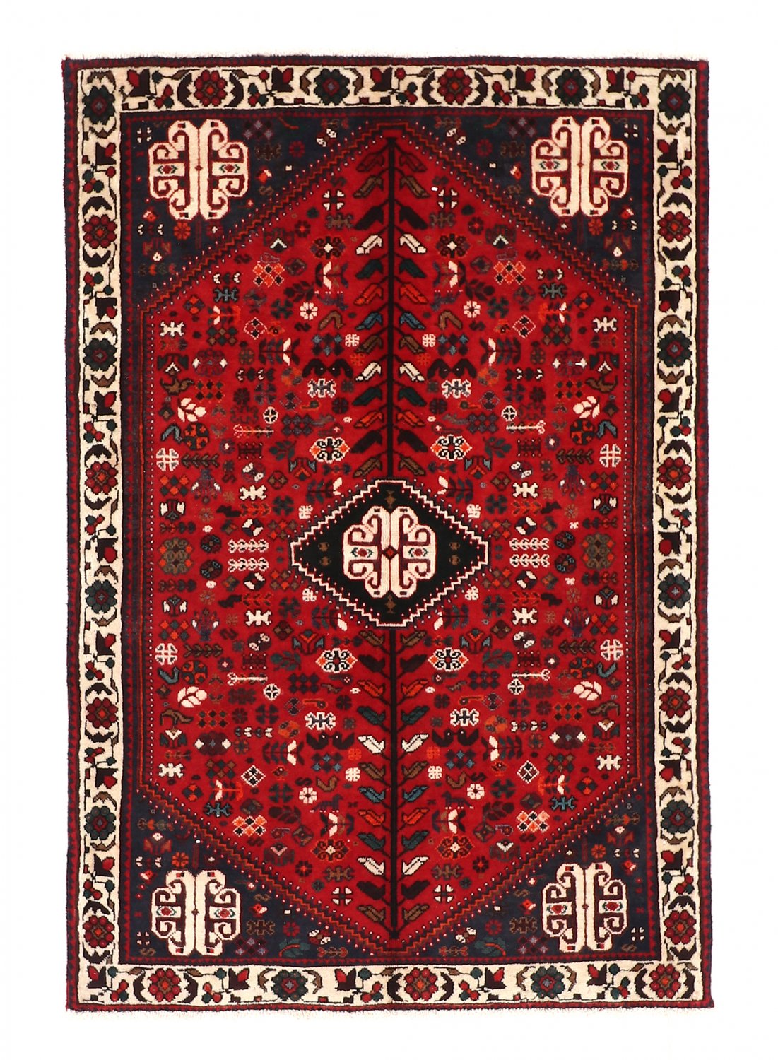 Persian Hamedan 161 x 108 cm