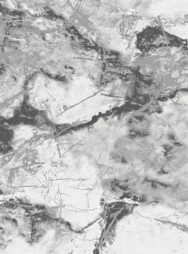 Wilton-matto - Mermer (harmaa/valkoinen)