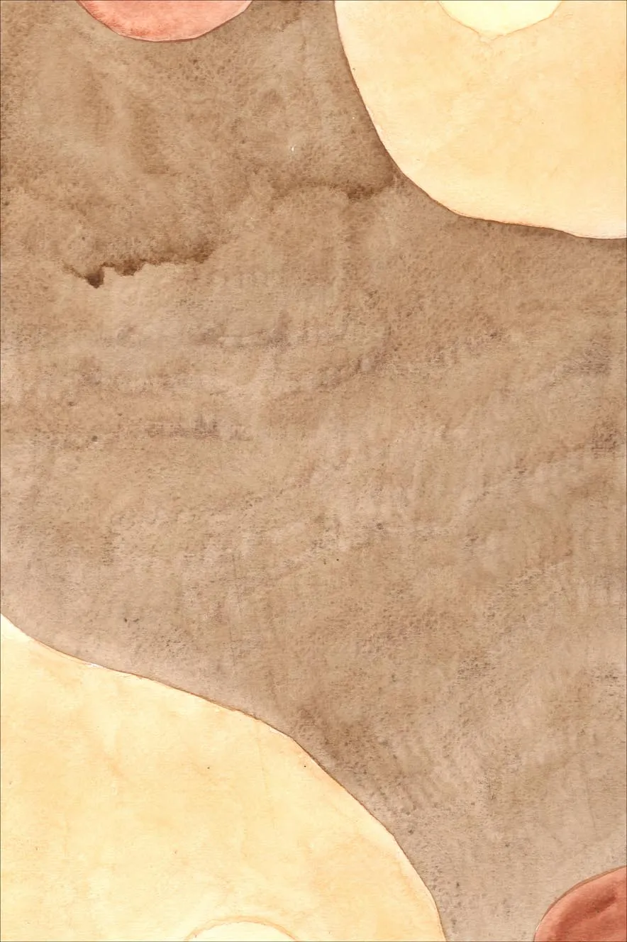 Wilton-matto - Nisa (ruskea/beige)