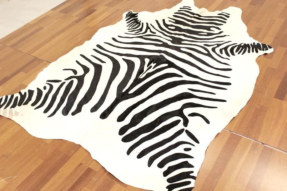 Zebra 11