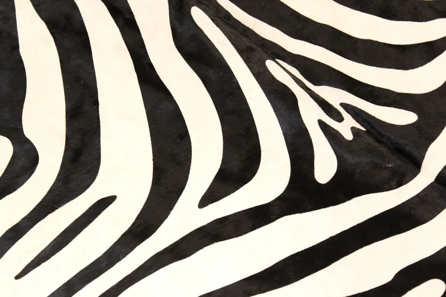 Zebra 11